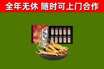 临朐县回收冬虫夏草价格