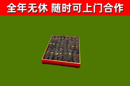 临朐县回收海参